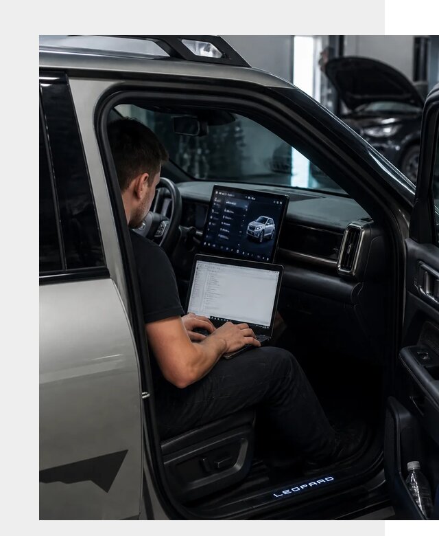 Русификация BYD Leopard 3 в Бузулуке по цене от 20744 р. | ФастМобиль-Бзл